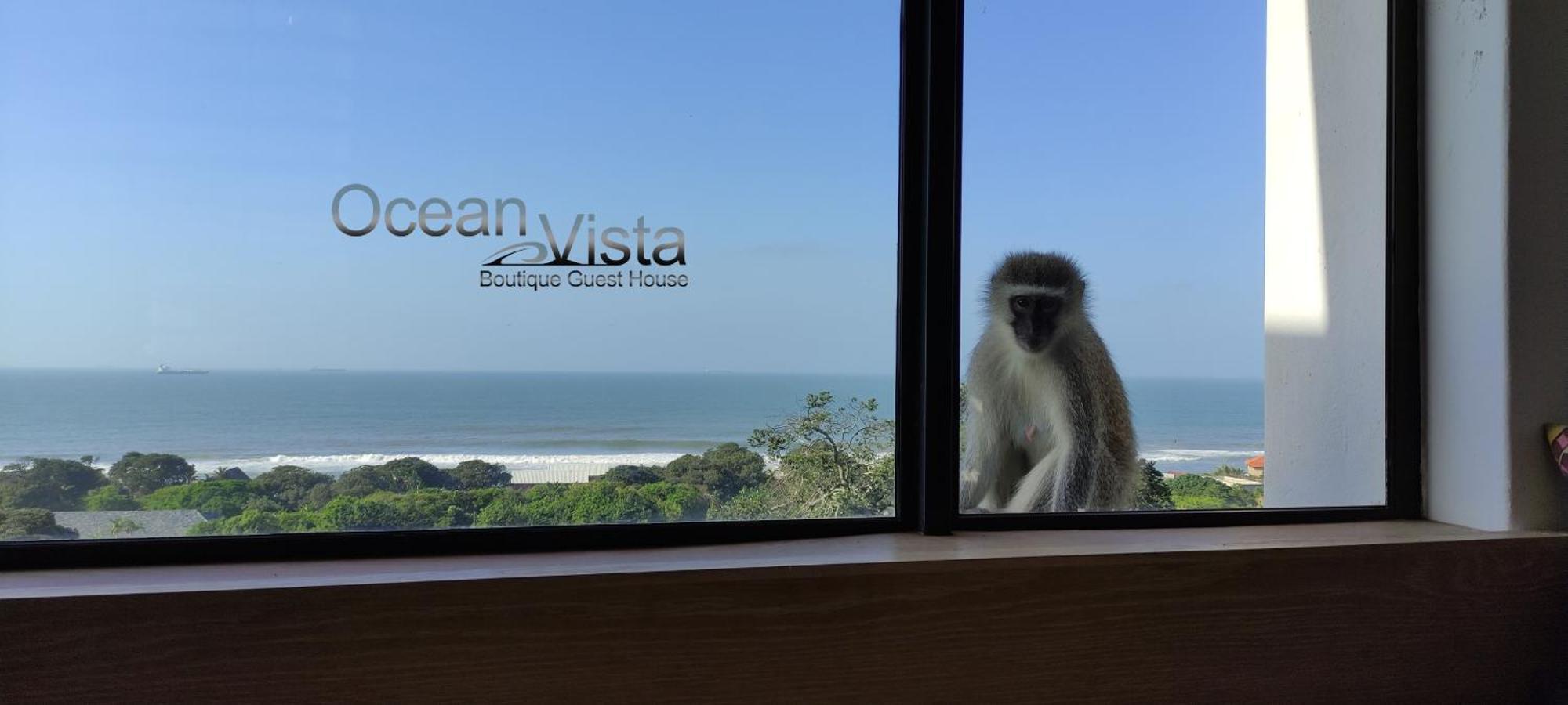 Ocean Vista Boutique Guest House Durban Exteriör bild