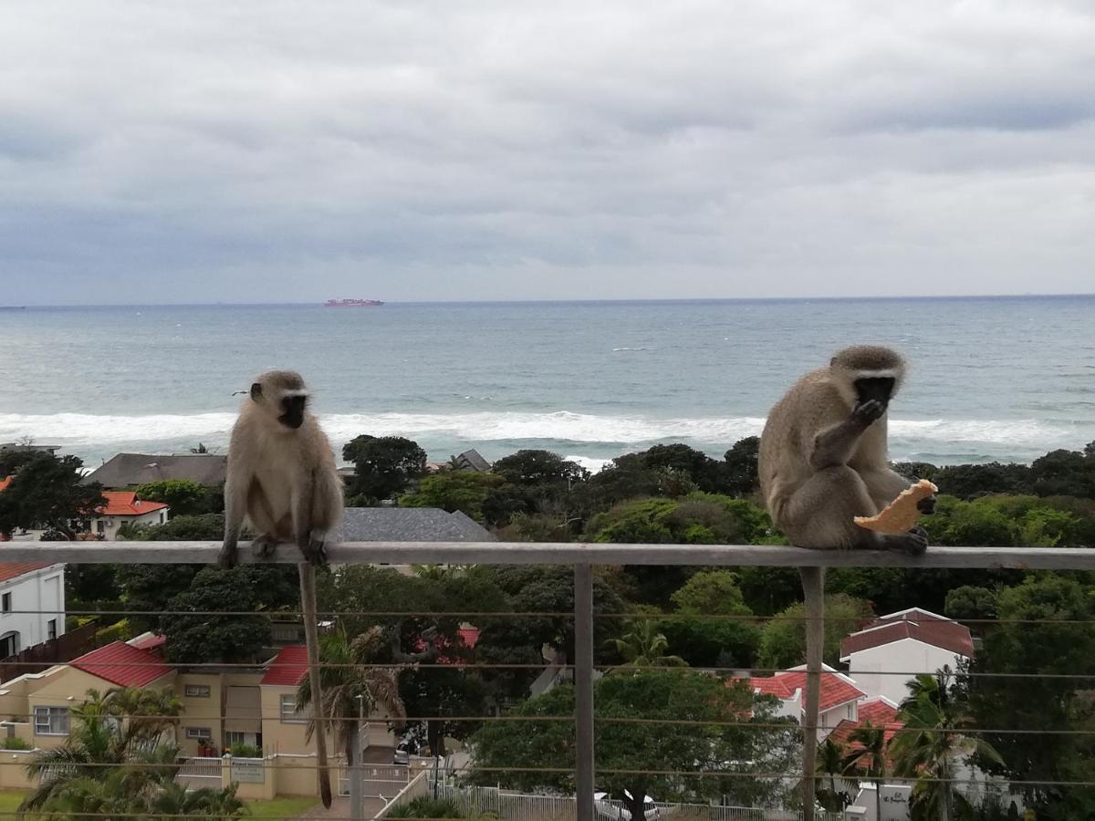 Ocean Vista Boutique Guest House Durban Exteriör bild